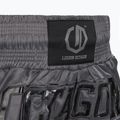 Spodenki treningowe Octagon Kickboxing/Muay Thai Legion Future Premium black/grey 5