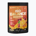 Napój izotoniczny MONDOLAB Balance Bitter Cranberry Punch 1000 g