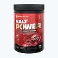 Przedtreningówka MONDOLAB Nalt Power Cherry Up 300 g