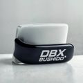 Żelazko bokserskie DBX BUSHIDO Ferro black/silver 5