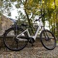 Rower elektryczny EcoBike LX300 48V 10.4Ah 499.2Wh X300 Greenway white 19