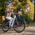 Rower elektryczny EcoBike LX300 48V 10.4Ah 499.2Wh X300 Greenway white 23