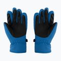 Rękawice narciarskie dziecięce Viking Asti dark blue 2