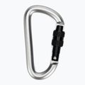 Karabinek Salewa D-Shape Carbiner With Screw grey 2