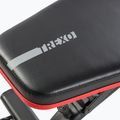 Ławka treningowa XTREXO B100 max. 300 kg czarna 14