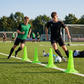 Zestaw pachołków OneTeam TRFTB03 HG4  4 sztuki zielony 4