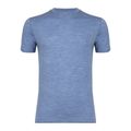 Koszulka termoaktywna męska WOOLCANO Merino 100% TEE0546 niebieska 4