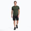 Koszulka termoaktywna męska WOOLCANO Merino 100% TEE0546 zielony 2