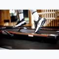 Bieżnia elektryczna TREXO Walking Pad W150 8