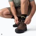 Buty trekkingowe męskie KADVA Strike Low WP brązowy 5