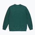 Bluza męska PROSTO Crewneck Varsity green 2