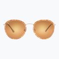 Okulary przeciwsłoneczne GOG Elektra matt brown demi/gold 2