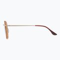 Okulary przeciwsłoneczne GOG Elektra matt brown demi/gold 3