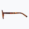 Okulary przeciwsłoneczne GOG Ranger brown demi/green 3