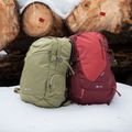 Plecak turystyczny Alpinus Lecco 25 l jasnozielony 9