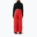 Spodnie narciarskie dziecięce 4F Fnk M0949 red 2