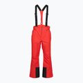 Spodnie narciarskie męskie 4F Fnk M1155 red