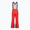 Spodnie narciarskie męskie 4F Fnk M1155 red 2