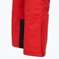 Spodnie narciarskie męskie 4F Fnk M1155 red 4