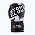 Rękawice bokserskie StormCloud Bolt 3.0 black/white 4