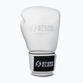 Rękawice bokserskie StormCloud Muay Thai Blizzard 2.0 white/silver 2