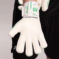 Rękawice bramkarskie Football Masters Varis X NC white/green 7