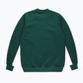 Bluza męska PROSTO Classic XXII green 2