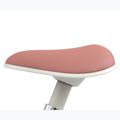 Rowerek biegowy Milly Mally Skippy pink 11