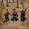 Plecak turystyczny Alpinus Tarfala 35 l mustard 4