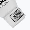 Rękawice bokserskie WINDY Classic Synthetic Leather white 6