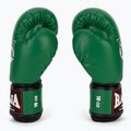 Rękawice bokserskie RAJA BOXING Single Semi Leather green 4