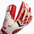 Rękawice bramkarskie 4keepers Force V 4.20 HB biały/czerwony 3