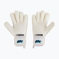 Rękawice bramkarskie dziecięce 4keepers Champ Aq Contact V RF biały/niebieski 2