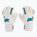 Rękawice bramkarskie 4keepers Champ Aqua V RF biały/niebieski