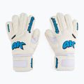 Rękawice bramkarskie 4keepers Champ Aqua V NC biały/niebieski