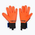Rękawice bramkarskie 4keepers Evo Lanta NC czarny/biały/ niebieski/pomarańczowy 2