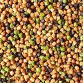 Pellet do metody Feeder Bait Prestige Fish Meal Sweet 2 mm 800 g 2