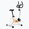 Rower stacjonarny HMS Premium M2005 17-01-017 3