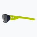 Okulary przeciwsłoneczne GOG Jungle blue/green/smoke 7