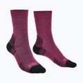 Skarpety damskie Bridgedale Lightweight Merino Performance Boot Original berry