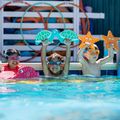 Deska do pływania dla dzieci FINIS Floatie Friends Turtle blue/green 3