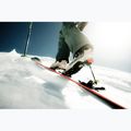 Buty skiturowe męskie Dalbello Quantum Space Pro ecru/grue 7