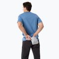Koszulka męska Arcteryx Arc'Word Logo stone wash 2