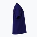 Koszulka męska Arc'teryx Kragg Cotton Logo soulsonic/dynasty 4