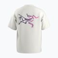 Koszulka męska Arc'teryx Kragg Cotton Logo white light/soul 2
