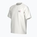Koszulka męska Arc'teryx Kragg Cotton Logo white light/soul 3