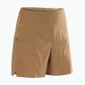 Spodenki trekkingowe Arc'Teryx Aestas canvas 6