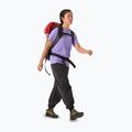 Koszulka damska Arc'teryx Kragg Sl Cotton Emblem Crew aster 2
