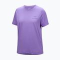 Koszulka damska Arc'teryx Kragg Sl Cotton Emblem Crew aster 6