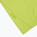 Koszulka męska Arcteryx Cormac Logo mantis 3